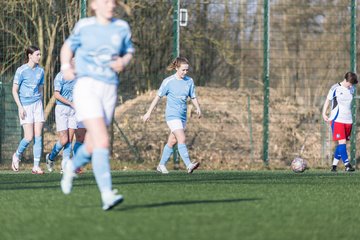 Bild 289 - F Hamburger SV 3 - Blau-Weiss 96 : Ergebnis: 5:1
